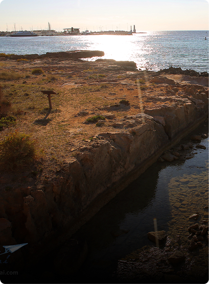 Live the Ibiza Sunset