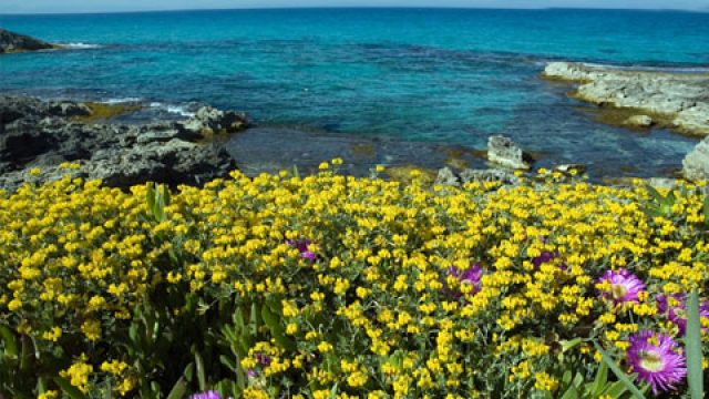 playas-formentera-4